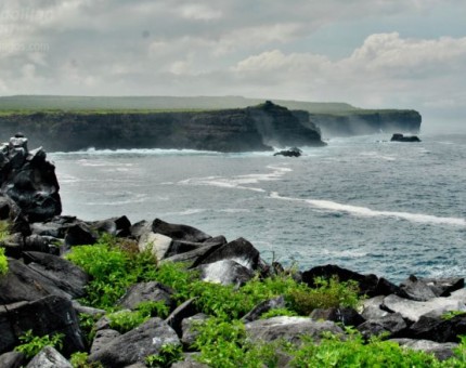 A Beautiful Landscape in Galapagos