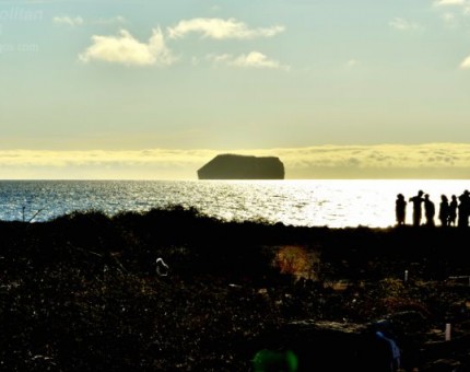Expedition in North Seymour Island