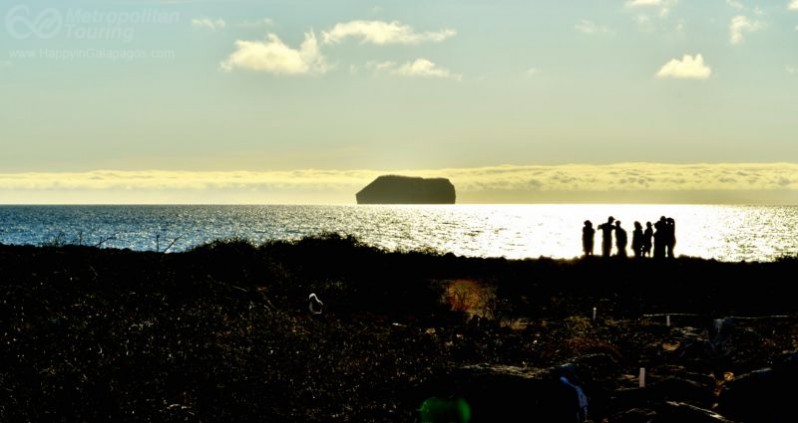 Expedition in North Seymour Island