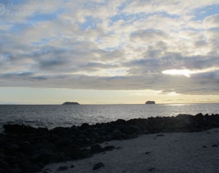 North Seymour in Galapagos