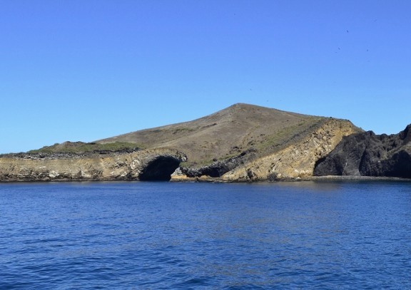 Punta Vicente