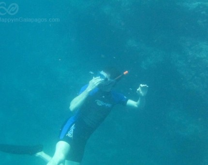 Snorkeling at Champion Islet, Galapagos