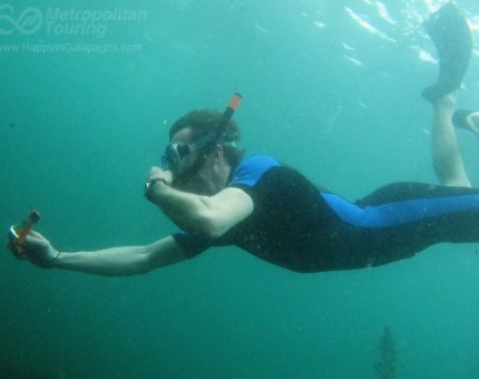 Snorkeling at Tagus Cove in Galapagos Islands