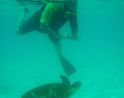 Snorkeling with a Turtle