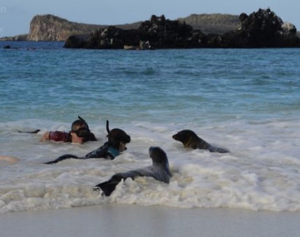 Swimming with Sea Lions in Galapagos