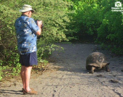 Photographing a giant tortoise in Galapagos