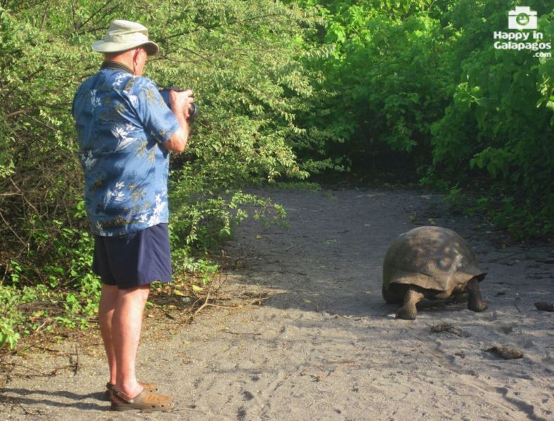 Photographing a giant tortoise in Galapagos