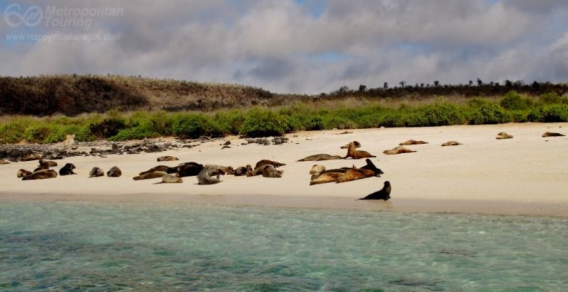 Santa Fe Island in Galapagos