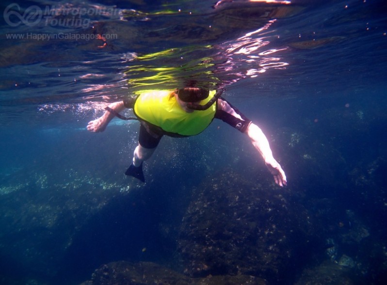 Snorkeling at Buccaneers Cove in Galapagos Islands