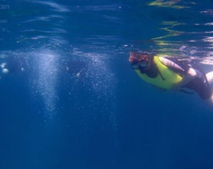 Snorkeling in Buccaneer Cove, Santiago Island
