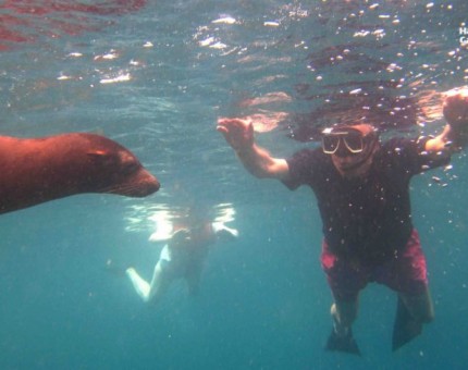 Snorkeling with a sea lion