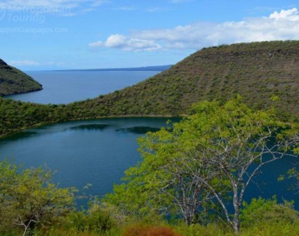 Landscape in Tagus Cove, Isabela Island