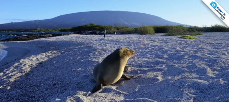 Galapagos Photo Discover the amazing Island of Fernandina