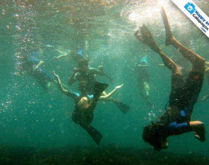An amazing experience underwater in Galapagos