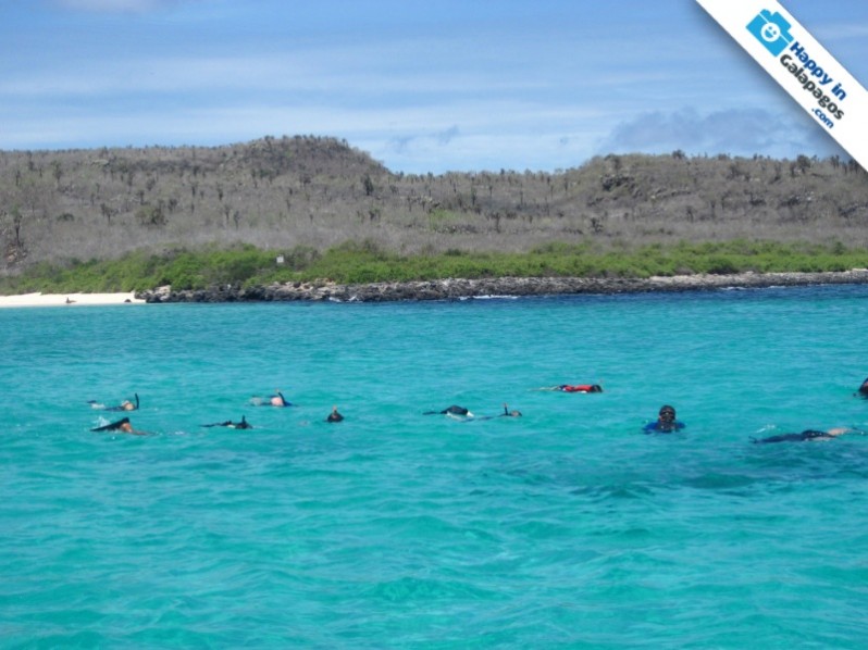 Galapagos Photo Awesome place to discover the marine wildlife