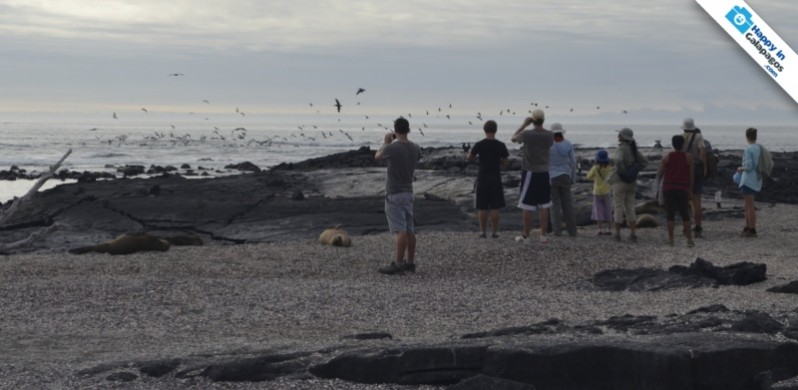 Birdwatching in the Galapagos Islands