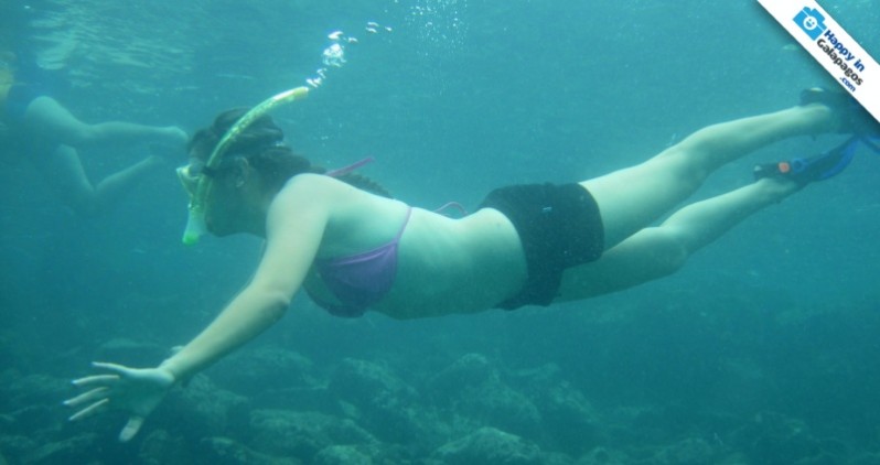 Discovering an underwater world in the snorkeling