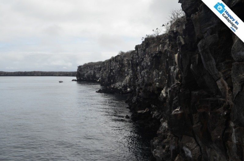 A cliff in Genovesa Island of Galapagos