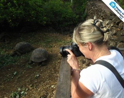Galapagos Photo Photographing the amazing tortoises of Galapagos