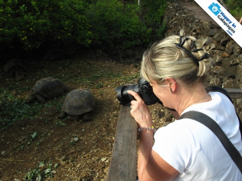 Galapagos Photo Photographing the amazing tortoises of Galapagos