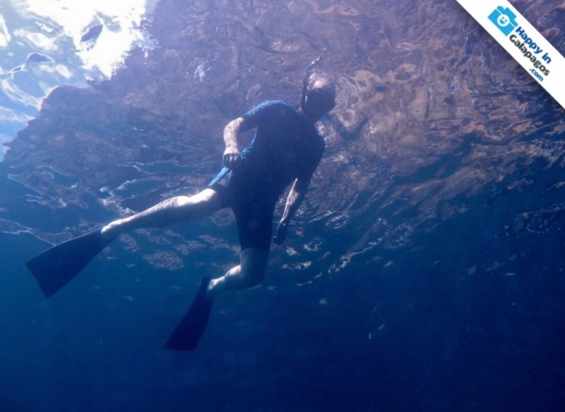 Snorkeling in Santiago Island at Buccaneer Cove