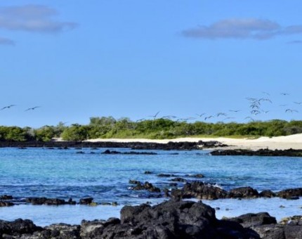 Galapagos Photos A really beautiful island to discover in Galapagos