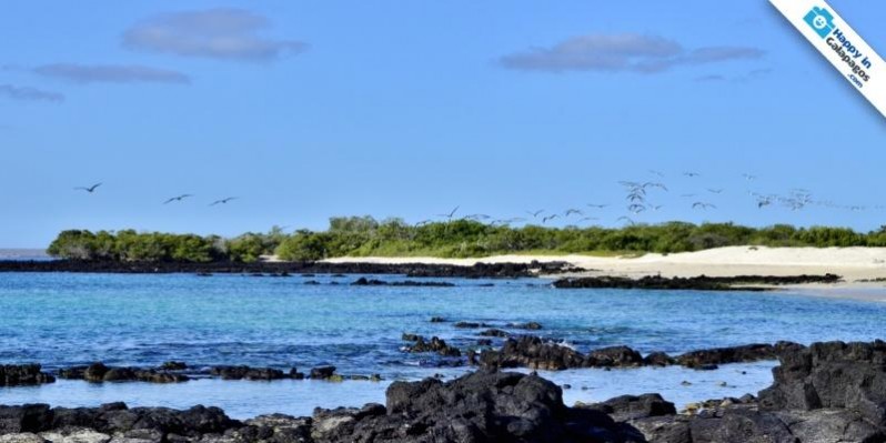Galapagos Photos A really beautiful island to discover in Galapagos