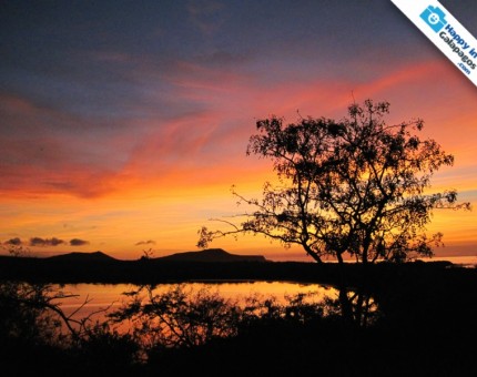 A really beautiful landscapes in Galapagos