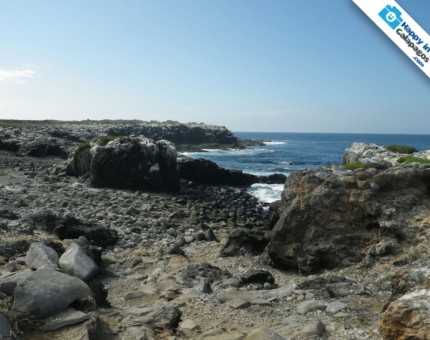 Galapagos Photo A wonderful place to enjoy the beauty of the Islands