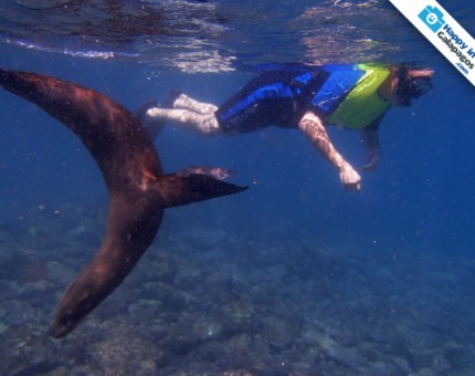 Galapagos Photo An awesome place to snorkeling with sea lions