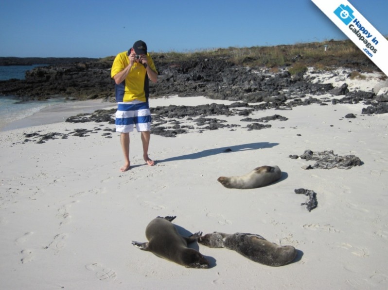 Galapagos Photo Enchanted by the incredible photos of sea lions in Galapagos