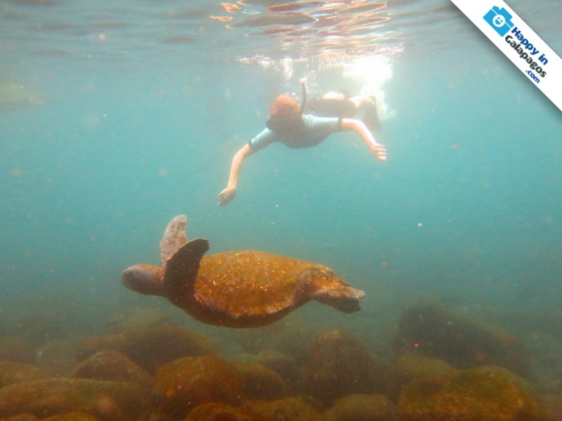 Galapagos Photo Astonishing experiences in snorkeling