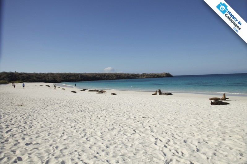 Galapagos Photo Awesome beaches to enjoy in the Galapagos Islands