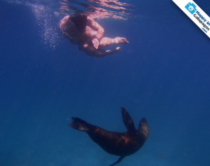 Galapagos Photo Incredible experiences with awesome sea lions in Galapagos