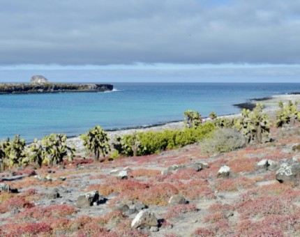 Galapagos Photo Discover all the amazing places of Galapagos