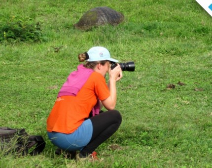 Photographing giant tortoises in Santa Cruz Island