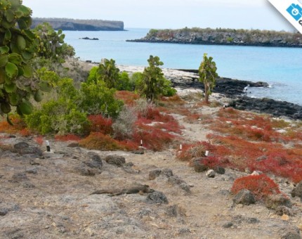 Galapagos Photo Really fantastic places to discover in Galapagos