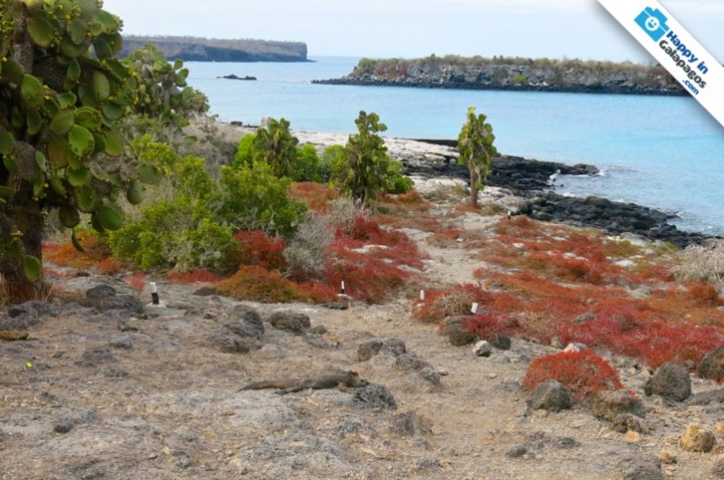 Galapagos Photo Really fantastic places to discover in Galapagos