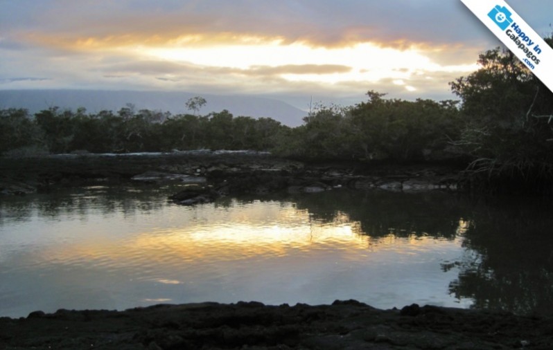 Galapagos Photo Relaxing places to enjoy in Galapagos Islands