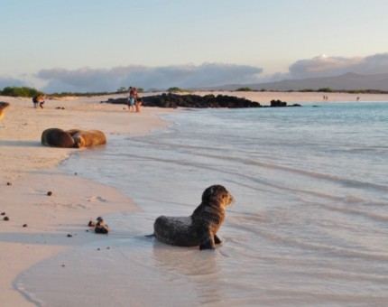 A great day in a beach of Galapagos Islands