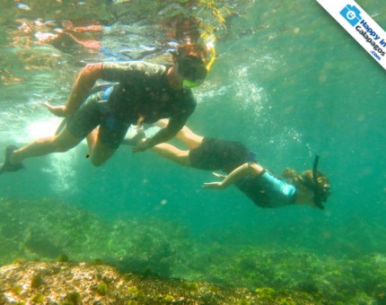 Good water conditions for the snorkeling