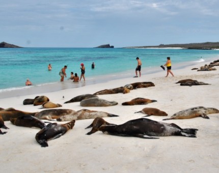 An amazing day to enjoy in Galapagos