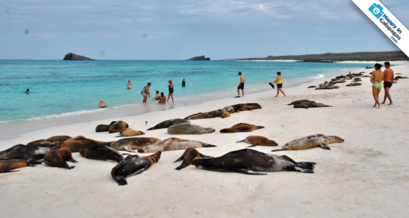 An amazing day to enjoy in Galapagos