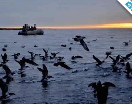 A perfect place for bird watching in Galapagos