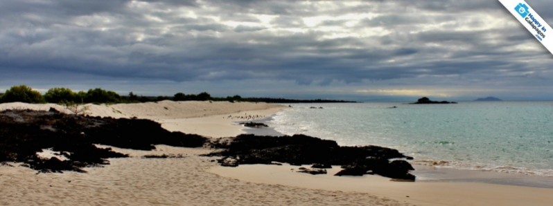 A really nice beach in Galapagos