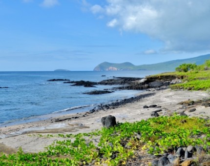 A typical landscape of lush beauty in the islands