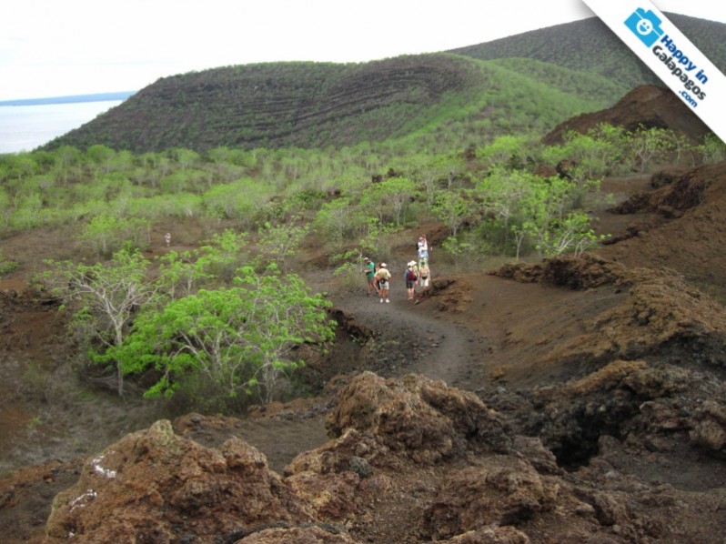 Come and discover the nature of Galapagos