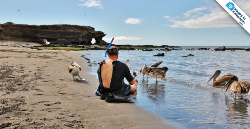 Interacting with the amazing wildlife in Galapagos