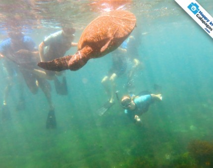 An astonishing experience underwater