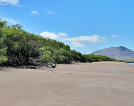 A perfect beach to relax in Galapagos